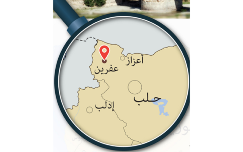 میوه "شاخه زیتون" آنکارا در تل‌ آویو