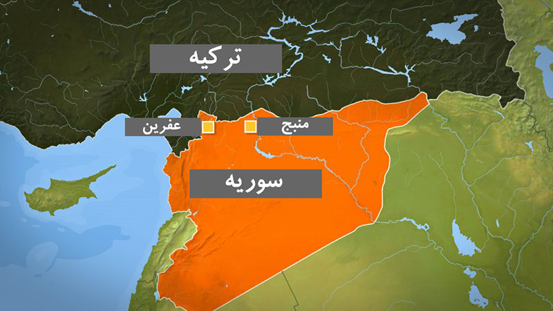 میوه 