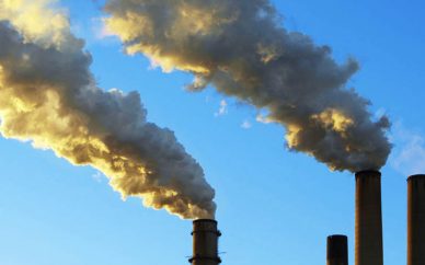 تک جنسی شدن برخی گونه های حیات وحش با افزایش میزان گاز co2