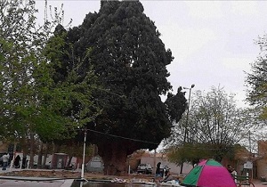 شهرستان مهریز آماده پذیرایی از میهمانان نوروزی