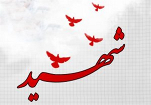 دیدار از خانواده معظم شهدا