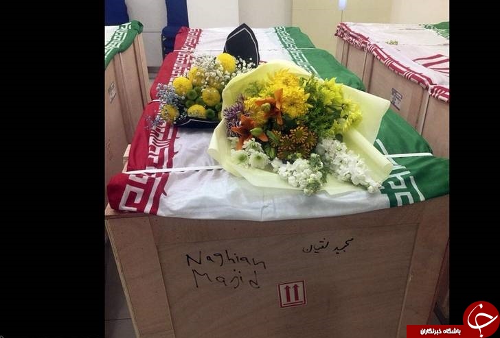 تصاویری از پیکر دریانوردان سانچی در شانگهای