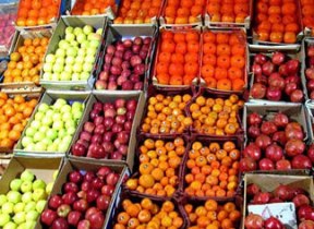 تامین میوه عیدانه زنجانی‌ها