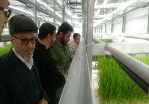 بازدیداز اولین واحد تولیدکننده علوفه هیدروپونیک استان یزد