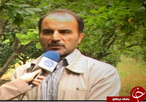 افزایش درآمد کشاوزان مازندران با سرمایه گذاری در تولید گیاهان دارویی