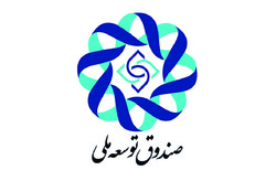 نمایندگان مجلس چه کارهایی می‌توانند برای گرانی‌ها انجام دهند؟ + فیلم
