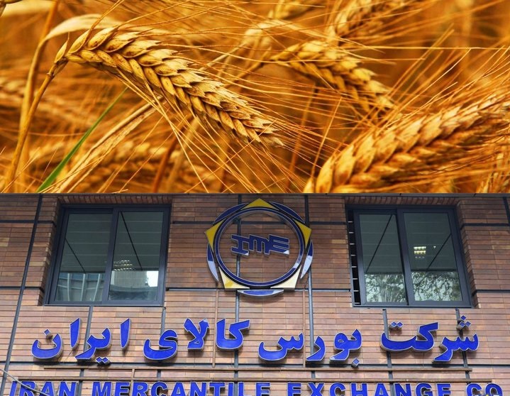 کاهش ۷۰ درصدی هزینه دولت با استفاده از ظرفیت&zwnj;های بورس کالا