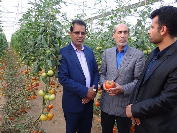 افتتاح پنج طرح عمران روستایی و کشاورزی در دشتی