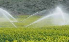 اجرای طرح آبیاری تحت فشار در بیش از ۱۳ هزار هکتار از اراضی کشاورزی بوکان
