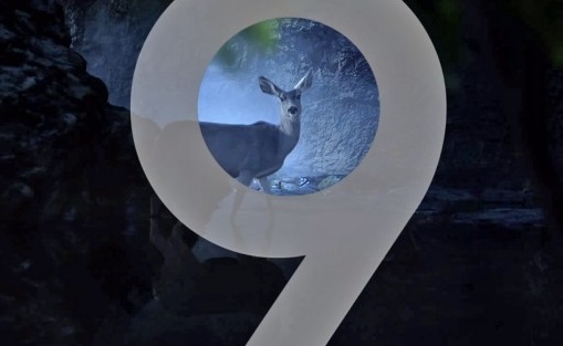 دوربین گوشی هوشمند Galaxy S9 رسما معرفی شد +فیلم