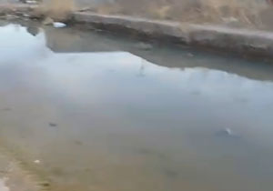 بسته