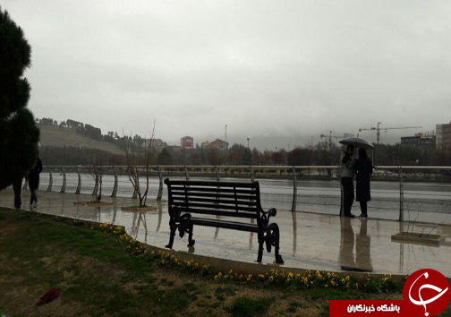 بارش باران خوشحال مردم لرستان /طراوت هوا و طبیعت +عکس