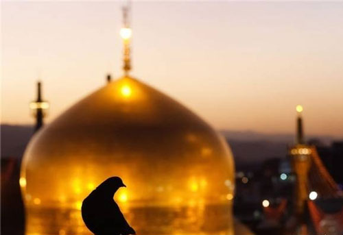 امید بخش بیماران سرطانی/شستشوی گنبد مطهر امام مهربانی ها/تصادف مرگبار در جاده گهرباران/جندالی شدن آزمون جذب نیروی دانشگاه علوم پزشکی کهگیلویه وبویراحمد امید بخش بیماران سرطانی/شستشوی گنبد مطهر امام مهربانی ها/تصادف مرگبار در جاده گهرباران/جندالی شدن آزمون جذب نیروی دانشگاه علوم پزشکی کهگیلویه وبویراحمد