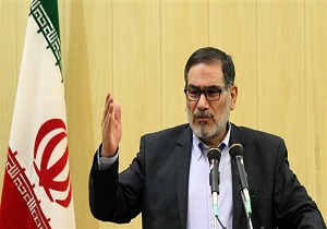 دولت آمریکا به جای مداخله در امور دیگر کشورها به تکالیف ذاتی خود در ایجاد امنیت داخلی خود بپردازد