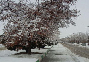 بارش برف زمستانی در حسن‌آباد + فیلم و تصاویر