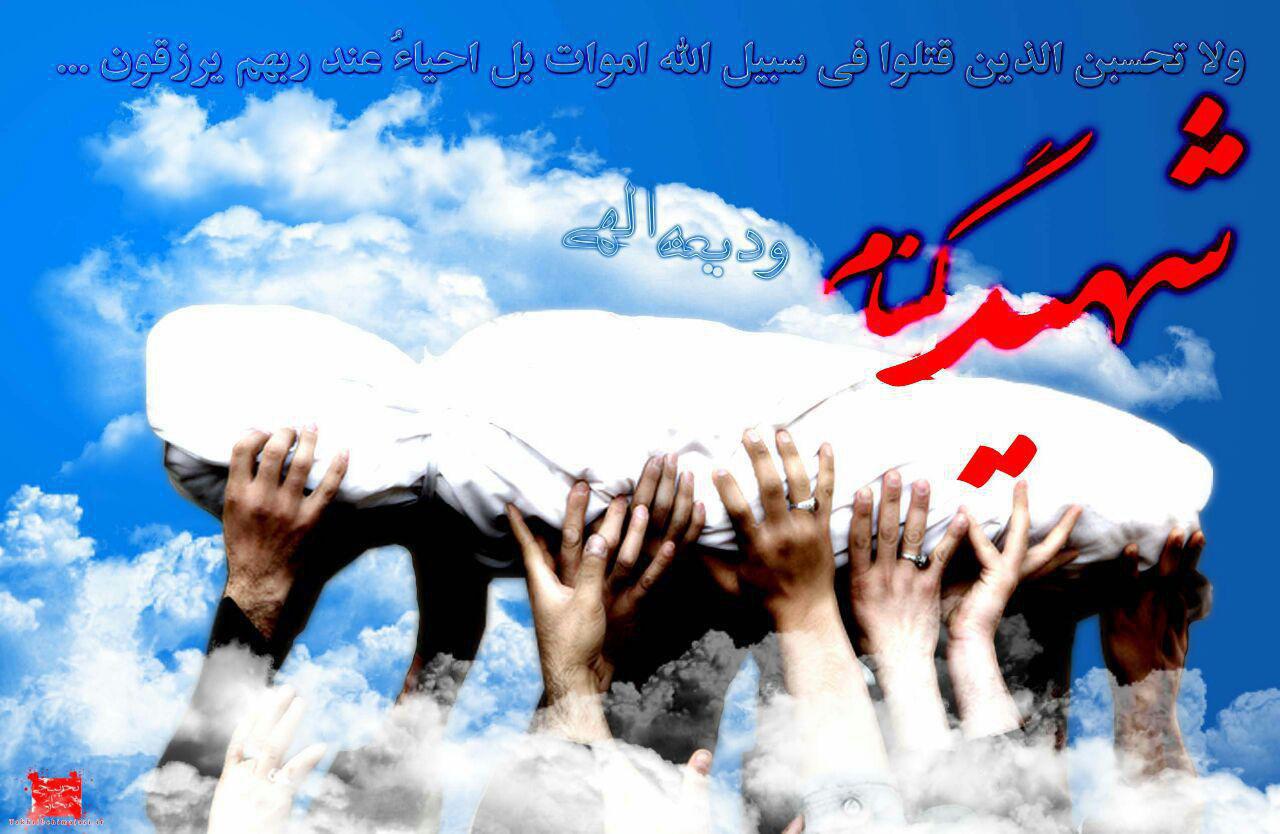 تشییع ۳ شهید گمنام فردا در تربت جام