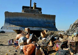 امحا میوه های قاچاق در خراسان جنوبی
