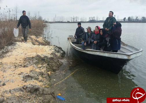 تغذیه کمکی برای پرندگان مهاجر در تالاب لپوی زاغمرز + تصاویر