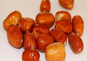 خواص شگفت انگيز "سنجد" كه تاكنون نمی دانستيد