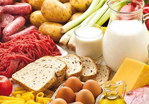 کارگاه آموزشی اندازه گیری مواد نگهدارنده مواد غذایی در جهرم
