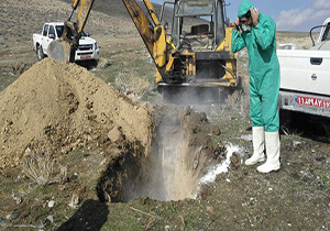 معدوم سازی 100 قطعه مرغ در روستای قولنجی