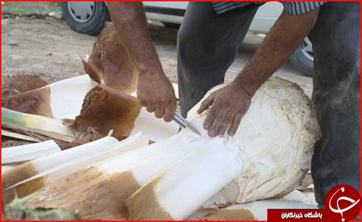 سفر به پایتخت انرژی ایران