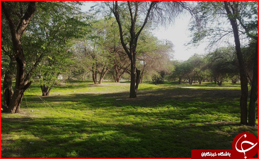 سفر به پایتخت انرژی ایران