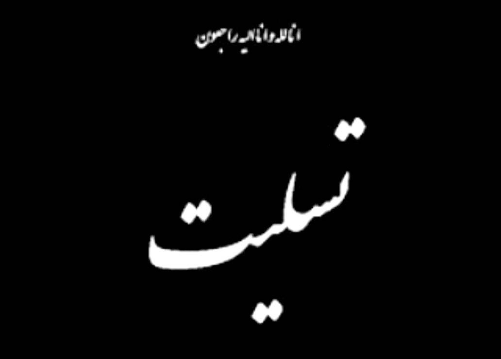 تسلیت وزیر بهداشت در پی سقوط هواپیمای تهران-یاسوج