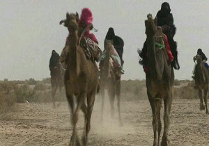 رقابت شتر سواری ویژه بانوان در دلگان