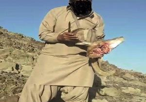 دستگیری شکارچی متخلف در سیستان و بلوچستان