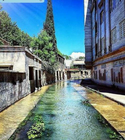 ونیز‌های ایران در کجا قرار گرفته‌اند؟ + تصاویر