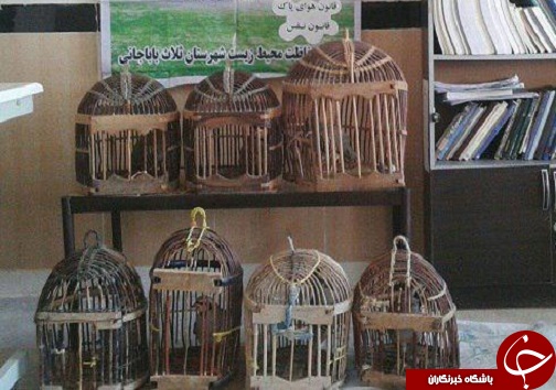 دستگيری دو اکيپ شکارچی در شهرستان ثلاث باباجاني