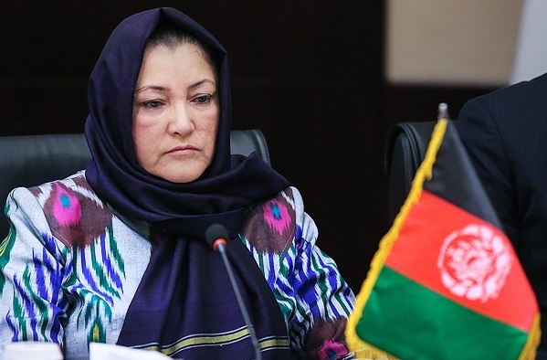 جامعه جهانی اراده کافی برای مبارزه با مواد مخدر افغانستان را ندارد