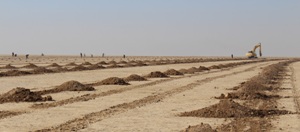 کم جمعیت ترین روستای کشور کجاست؟/چشم انتظاری خوزستانی ها برای رشد نهال ها و کاهش ریزگردها /اندر حکایات رفع گره ترافیکی شهر&zwnj;ها با ساخت تقاطع&zwnj;های مشکل ساز