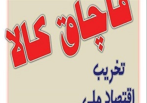 کشف ۴۷ میلیون ریال کالای قاچاق در قزوین