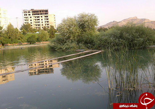 جوشش چشمه اصلی دریاچه کیو +تصاویر