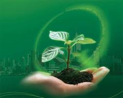 مدیریت سبز نگرشی در حکمرانی توسعه پایدار است