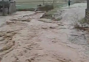 جاری شدن سیل در معابر «علیمرادخانی» + فیلم