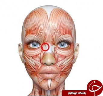 کاهش وزن سریع با فشار 13 نقطه از بدن+ تصاویر