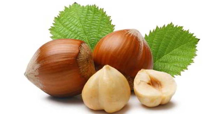 خواص فندق برای سلامت بدن
