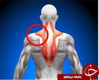 پربازدیدهای وبگردی؛