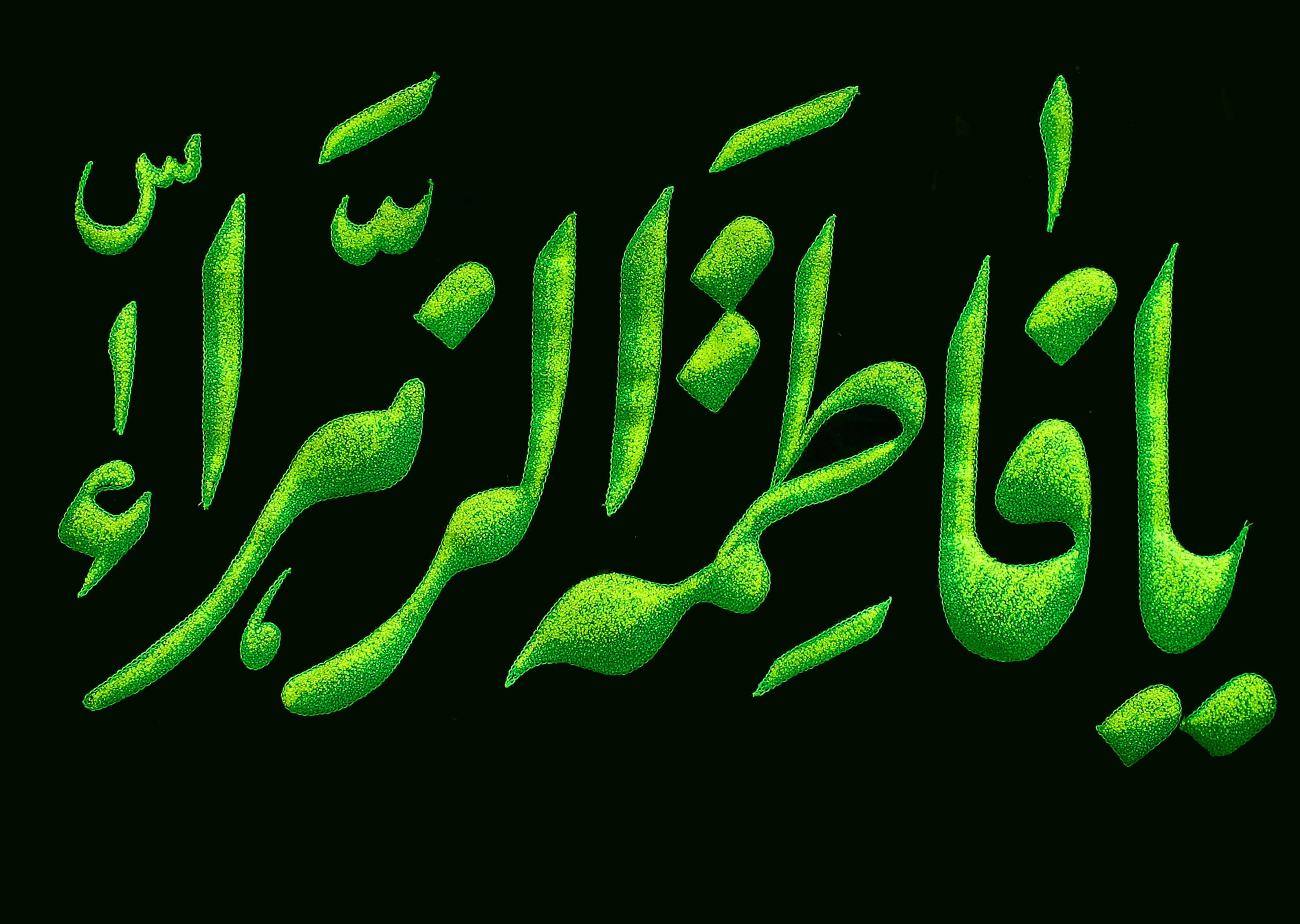 مراسم عزاداری شهادت حضرت زهرا(س)