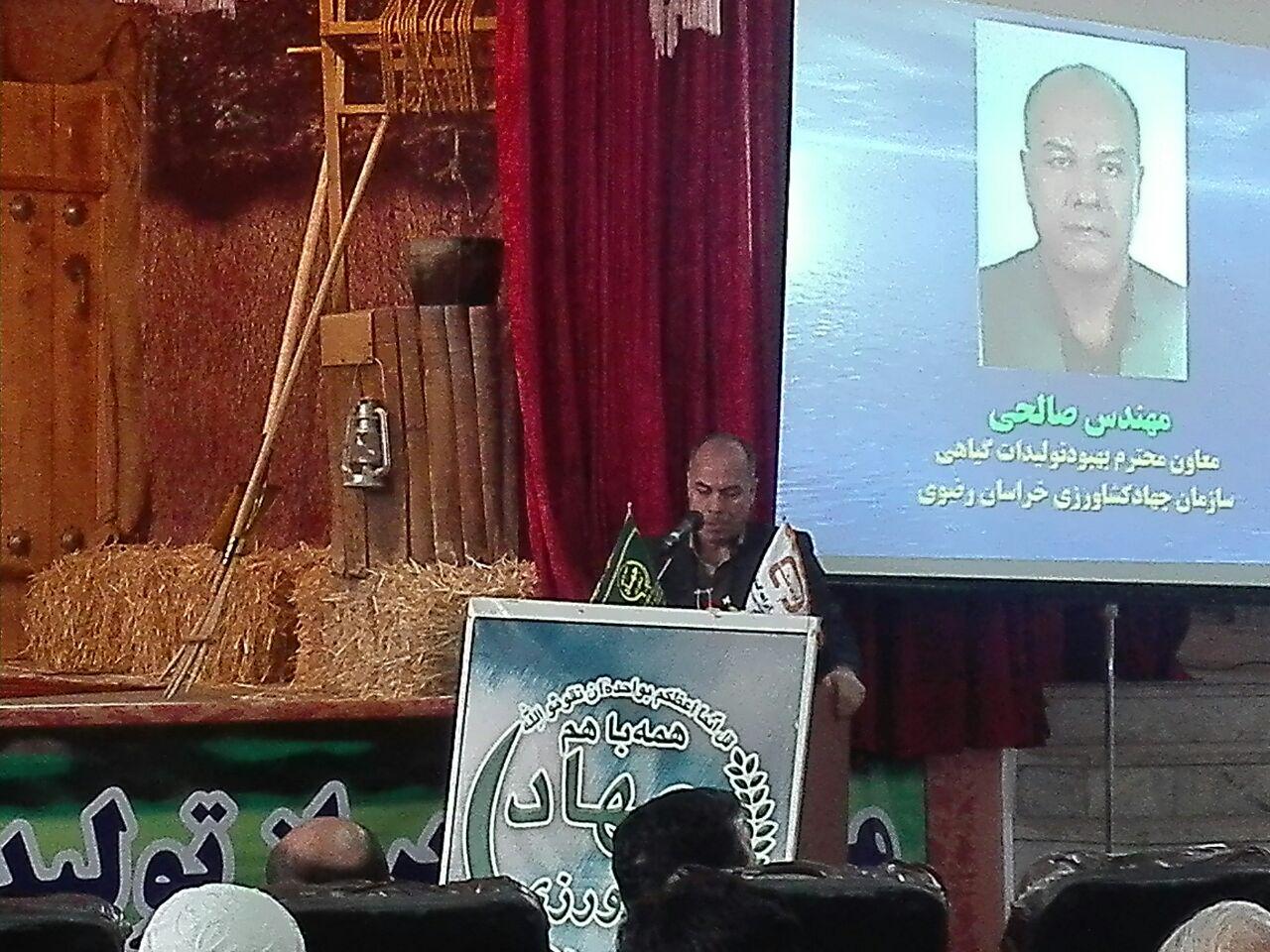 خراسان رضوی ۱۷ تولید کننده نمونه کشوری در حوزه کشاورزی و دامپروری دارد