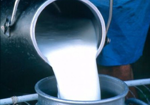اجرای طرح زمستانی پایش شیر در شهرستان بیرجند