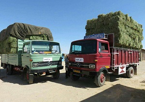 ارسال علوفه به مناطق محروم استان سمنان