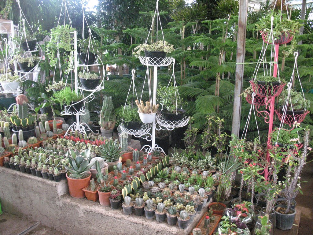 بوستان آب و آتش، فضایی بکر برای گذراندن تعطیلاتی به یاد ماندنی