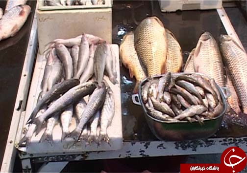 خدا ماهیگیران را دوست دارد