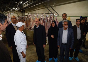 بازدید استاندار قزوین از چند واحد تولیدی