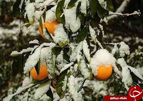 نگاهی گذرا به مهمترین رویداد&zwnj;های چهارشنبه ۴ بهمن ماه در مازندران