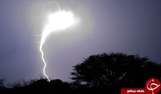جالب&zwnj;ترین و مرموزترین حوادث جهان+ تصاویر